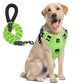 NoEscape No-Pull, Gentle Dog Harness & Leash Set