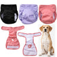Washable Reusable Female Dog Diaper – Adjustable Leakproof Pet Pant for Small, Medium & Large Dogs