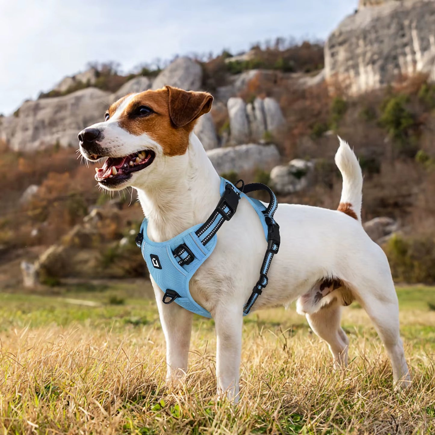 NoEscape No-Pull, Gentle Dog Harness & Leash Set