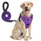 NoEscape No-Pull, Gentle Dog Harness & Leash Set