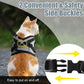 Cat Collar & Harness Leash Set – Kitten Accessories and Pet Supplies for Home Use