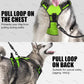 GlowSafe LED Dog Harness for Night Walking