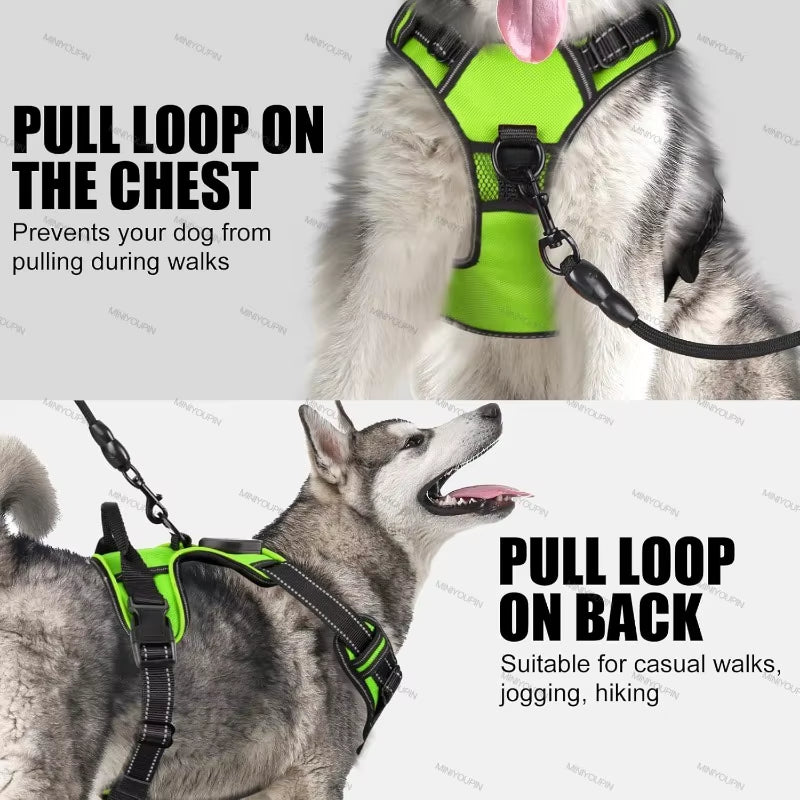 GlowSafe LED Dog Harness for Night Walking
