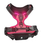 GlowSafe LED Dog Harness for Night Walking