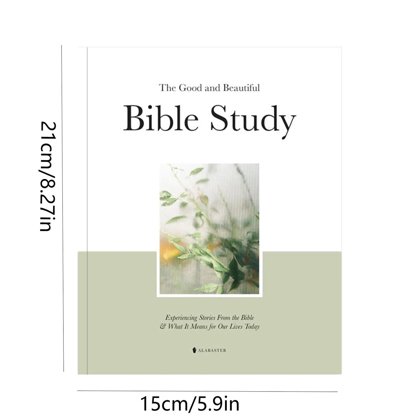 A Year Through the Bible: 52-Week Guided Study with Daily Reflections & Scripture Insights