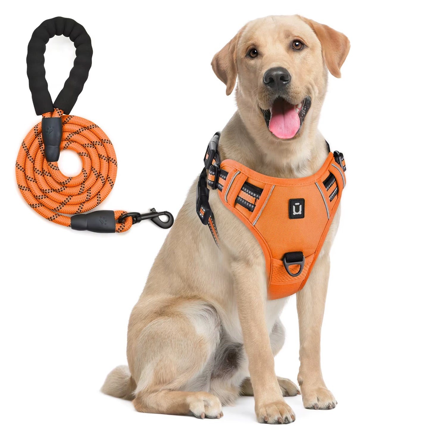 NoEscape No-Pull, Gentle Dog Harness & Leash Set