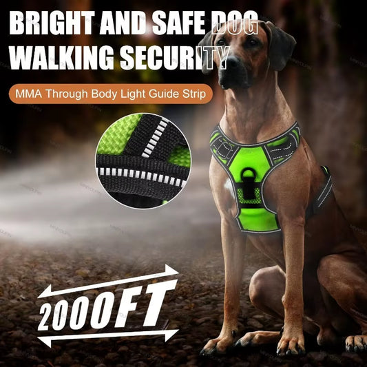 GlowSafe LED Dog Harness for Night Walking