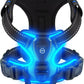 GlowSafe LED Dog Harness for Night Walking