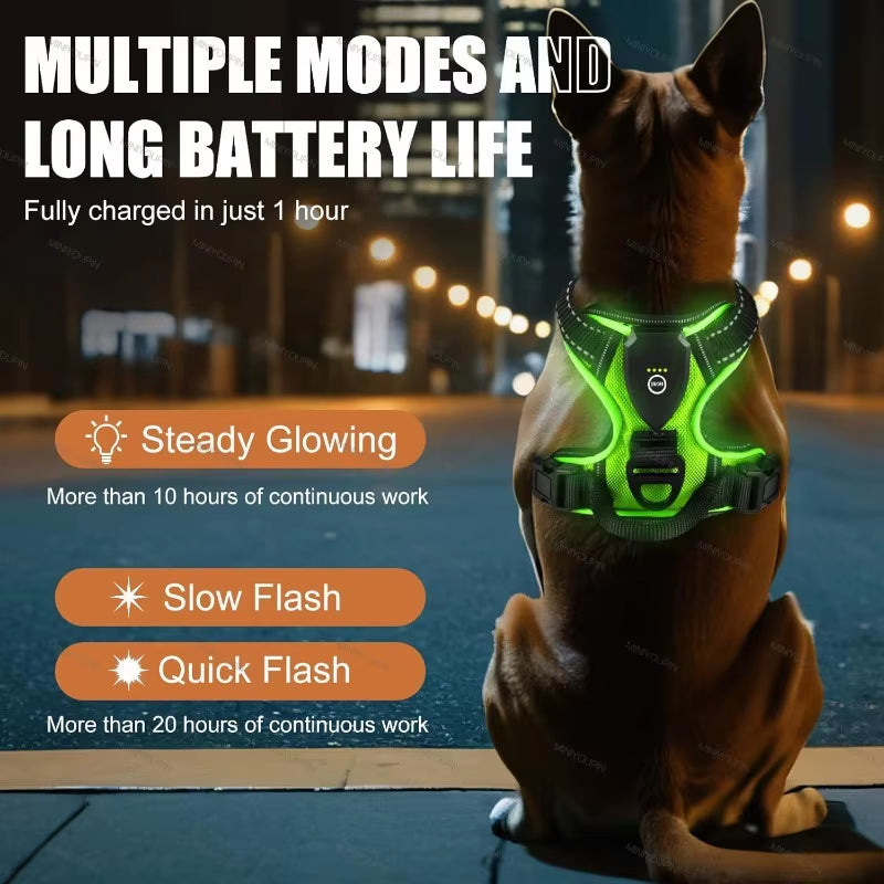 GlowSafe LED Dog Harness for Night Walking
