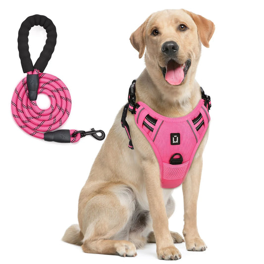 NoEscape No-Pull, Gentle Dog Harness & Leash Set