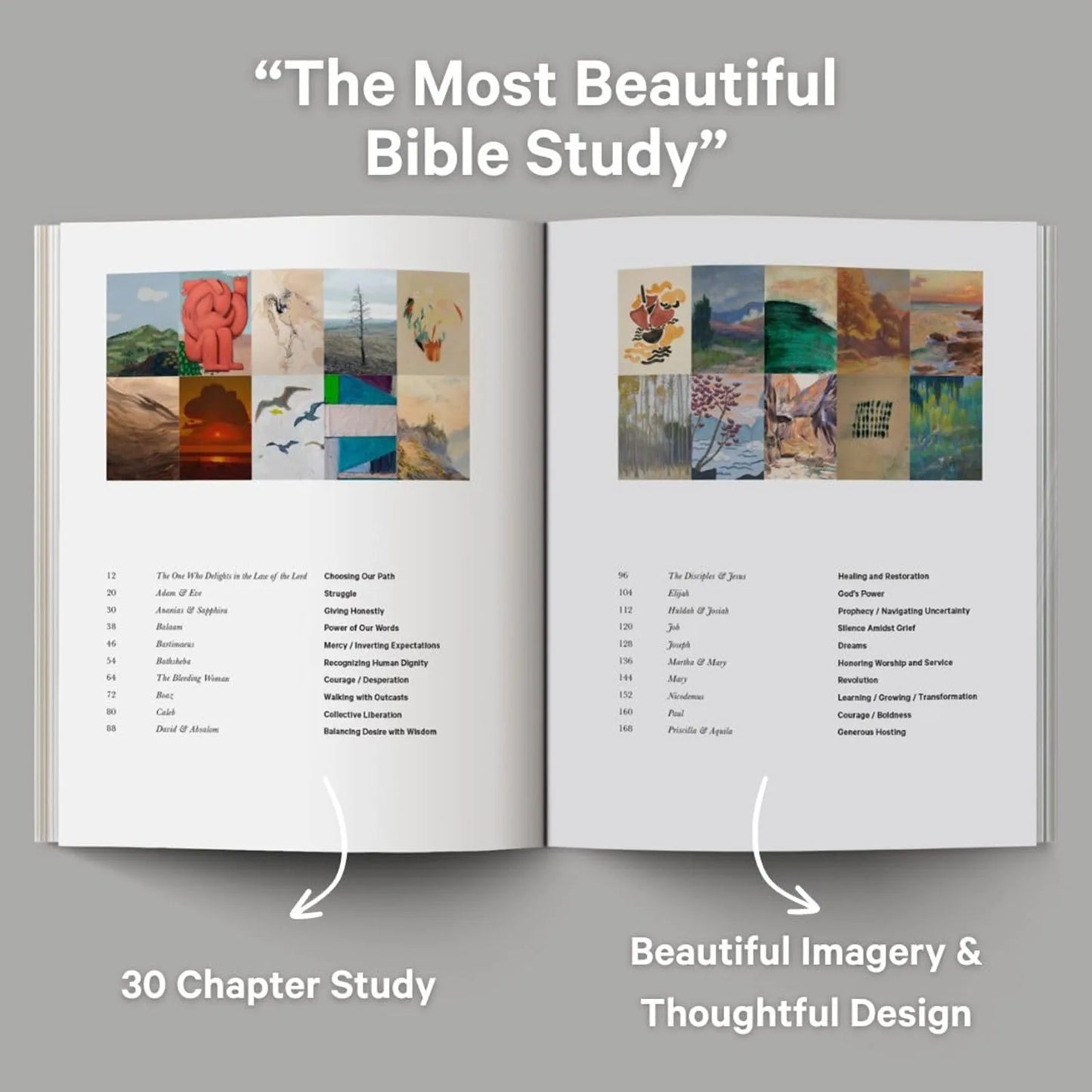 A Year Through the Bible: 52-Week Guided Study with Daily Reflections & Scripture Insights