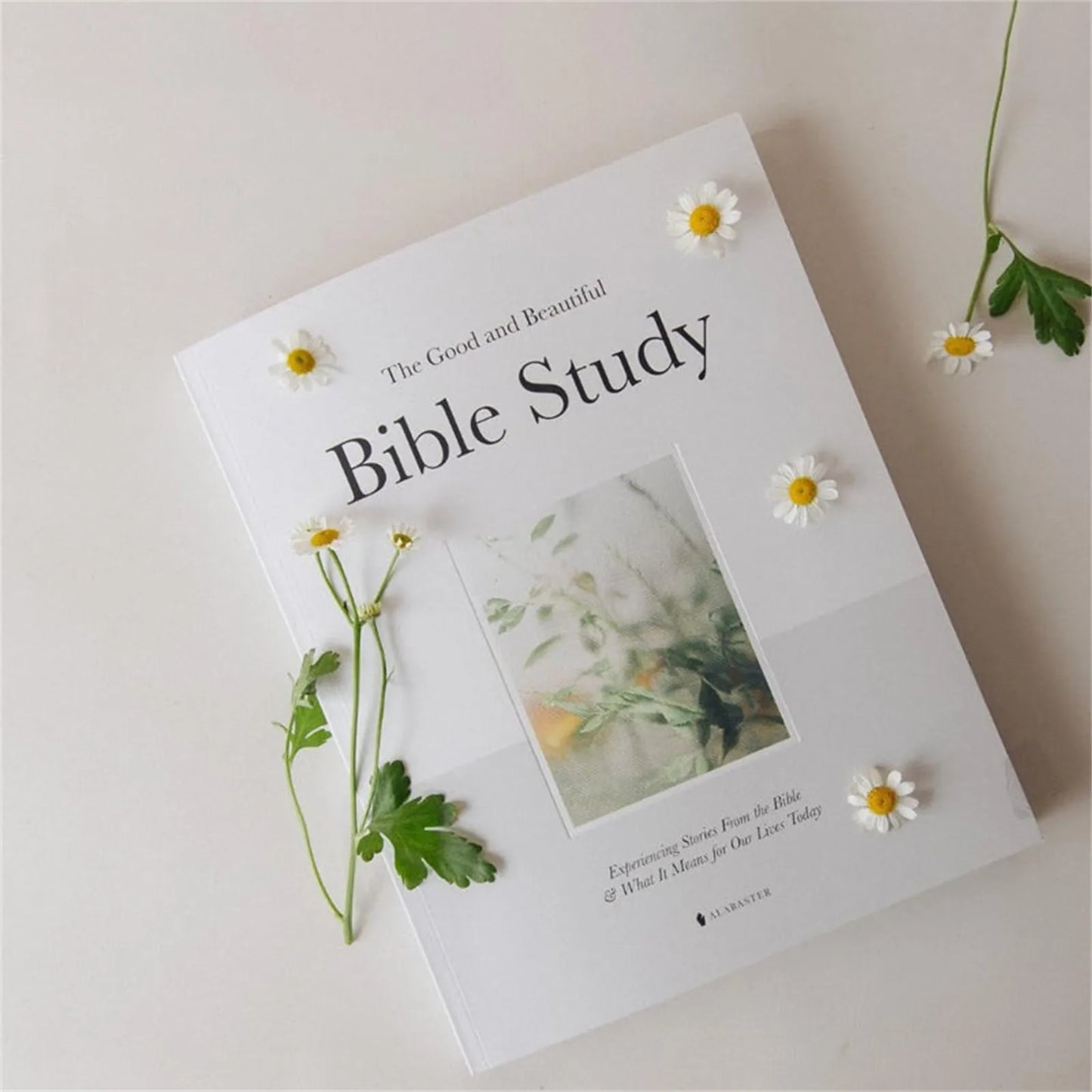 A Year Through the Bible: 52-Week Guided Study with Daily Reflections & Scripture Insights