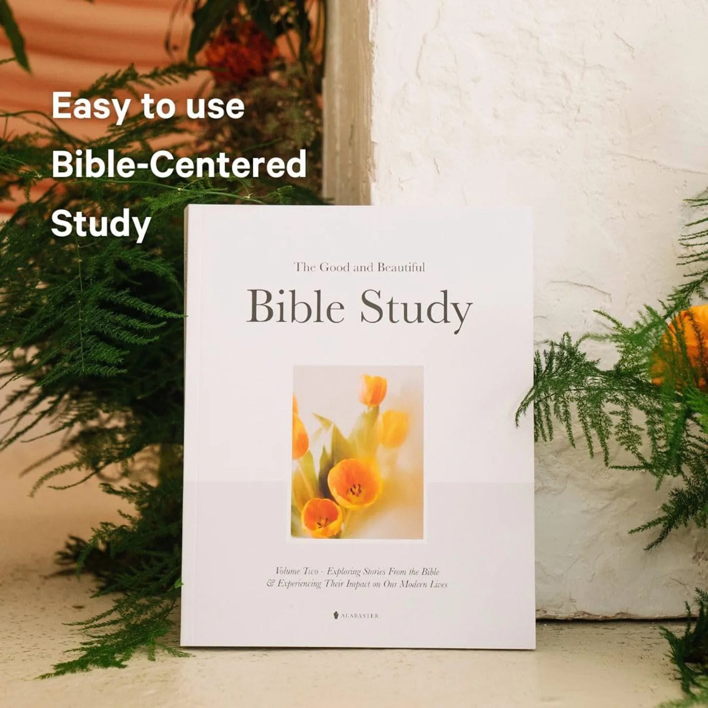 A Year Through the Bible: 52-Week Guided Study with Daily Reflections & Scripture Insights