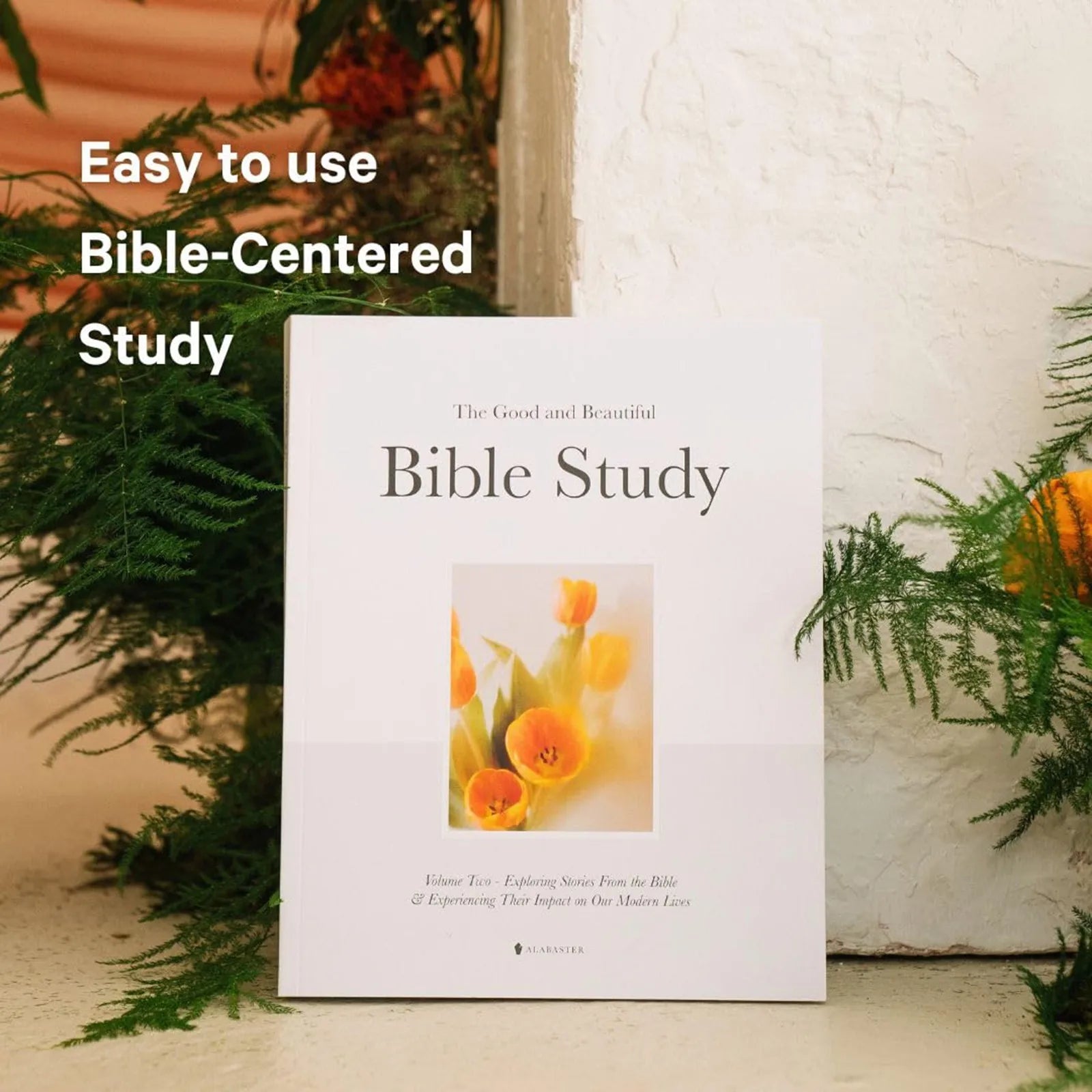 A Year Through the Bible: 52-Week Guided Study with Daily Reflections & Scripture Insights