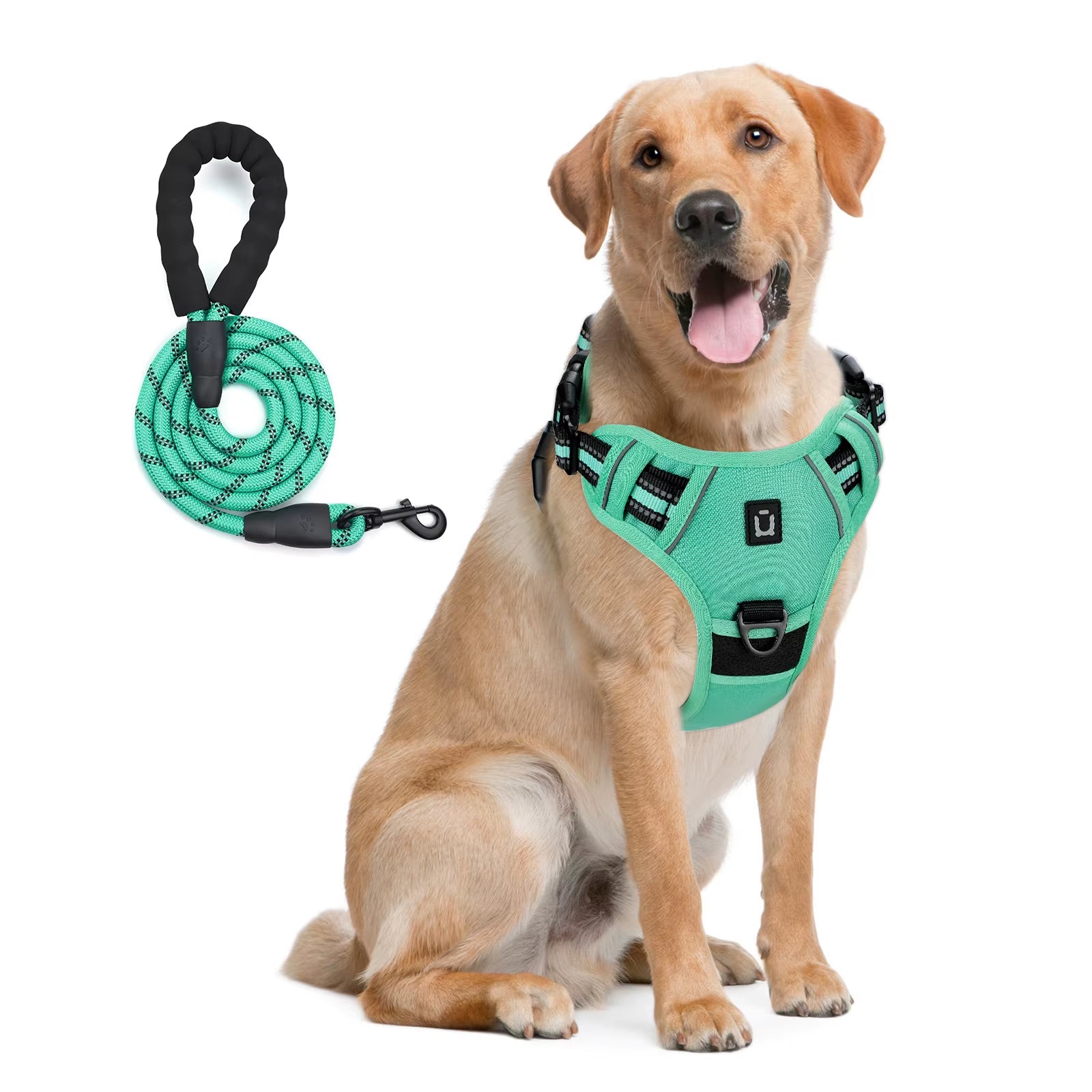 NoEscape No-Pull, Gentle Dog Harness & Leash Set